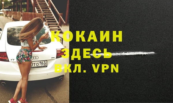 прущие грибы Володарск