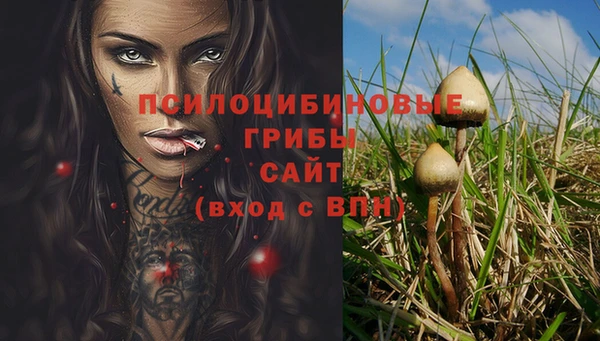 прущие грибы Володарск
