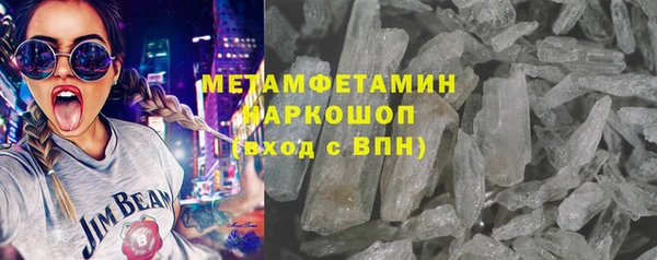 прущие грибы Володарск