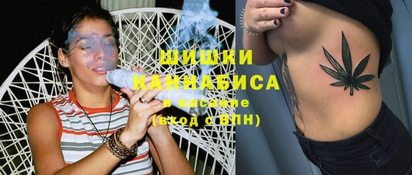 прущие грибы Володарск