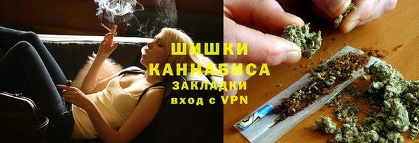 прущие грибы Володарск